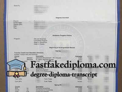 Brandeis University Transcript