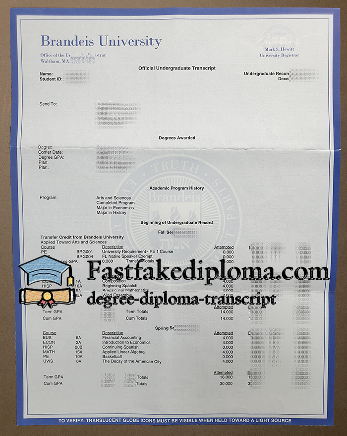 Brandeis University Transcript