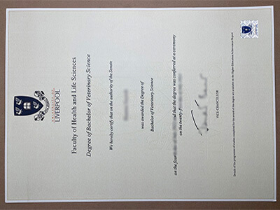 University of Liverpool degree