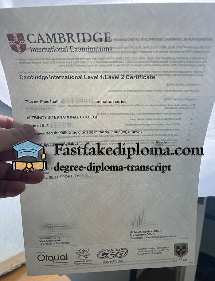 Cambridge International Level 1/Level 2 certificate