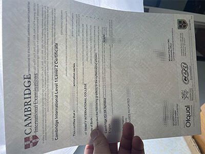 Cambridge International Level 1/Level 2 certificate