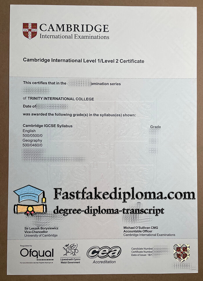 Cambridge International Level 1/Level 2 certificate