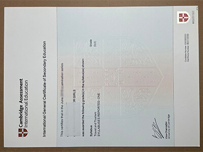 purchase realistic Cambridge IGCSE certificate