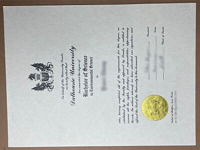 Get a Dalhousie University fake diploma online.