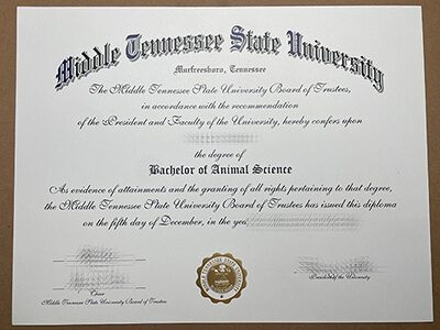 Purchase a Middle Tennessee State University fake diploma.