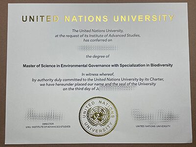 purchase realistic United Nations University degree