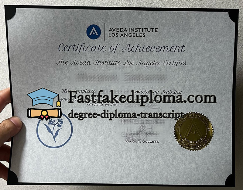 Buy AVEDA Institute Los Angeles certificate