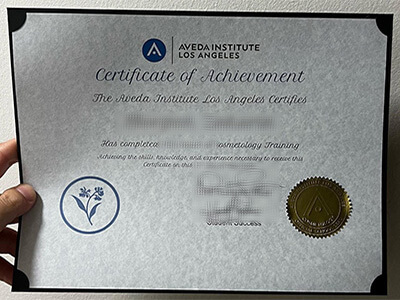 Buy AVEDA Institute Los Angeles fake certificate