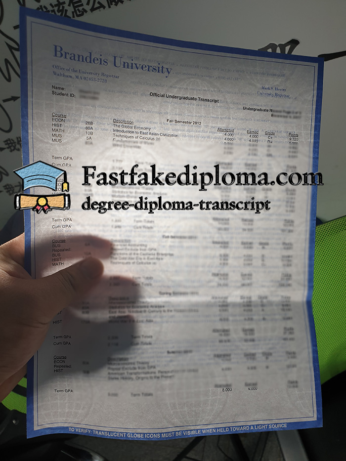 Brandeis University Transcript