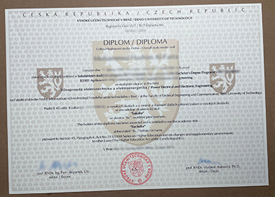 How much to order Brno University of Technology diploma?