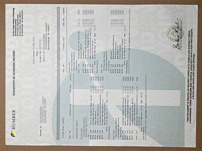 purchase realistic Humber College transcript