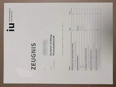 get IU Internationale Hochschule transcript