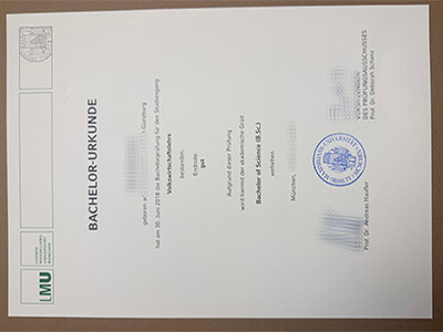 order LMU Munich diploma