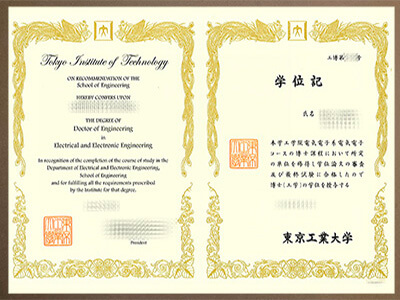 realistic Tokyo Institute Technology degree