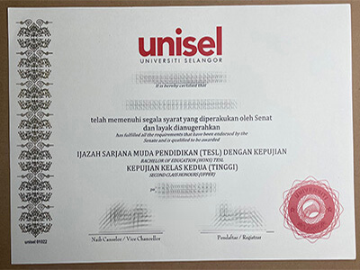 purchase realistic Unisel degree