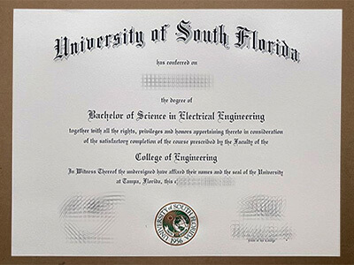 Order University of South Florida Diploma Online.