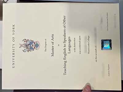 purchase realistic University of York degree