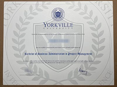 Yorkville University degree