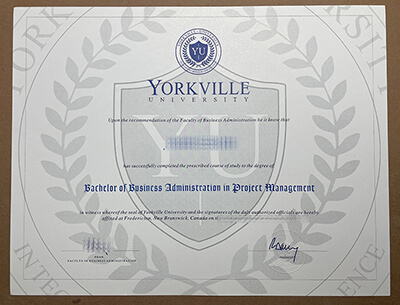 Yorkville University degree