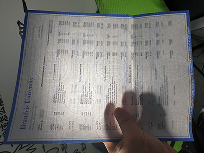 Brandeis University Transcript