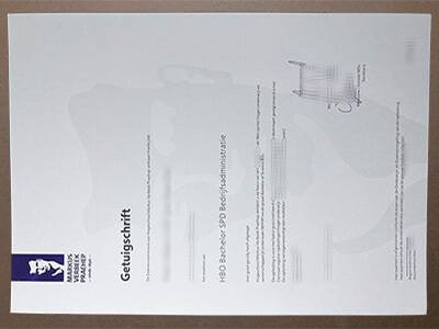 Buy a Markus Verbeek Praehep Getuigschrift online