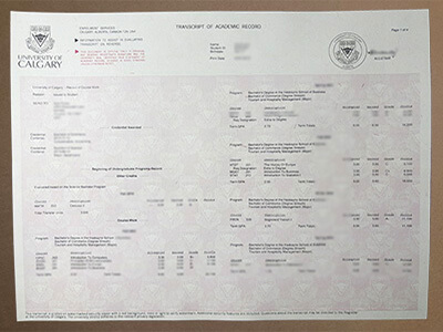 How much to order University of Calgary transcript