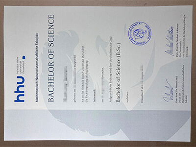 Heinrich Heine Universität Düsseldorf diplomas