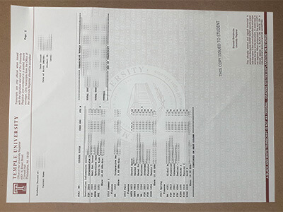 fake Temple University transcript