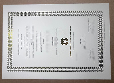 make Universitas Studiorum Insubriae diploma