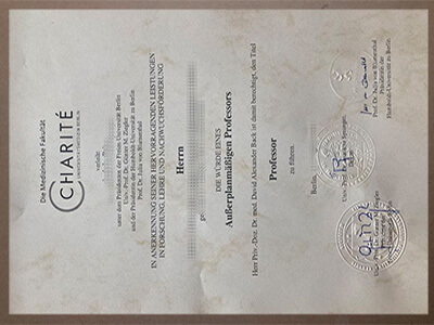 fake University Medicine Berlin diploma