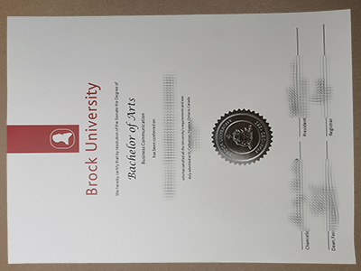 fake Brock University diploma