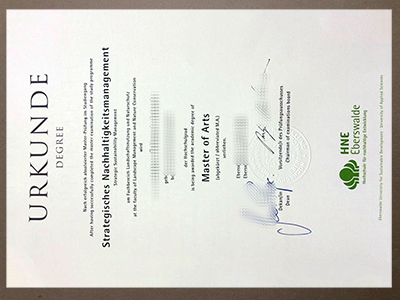 fake HNE Eberswalde certificate