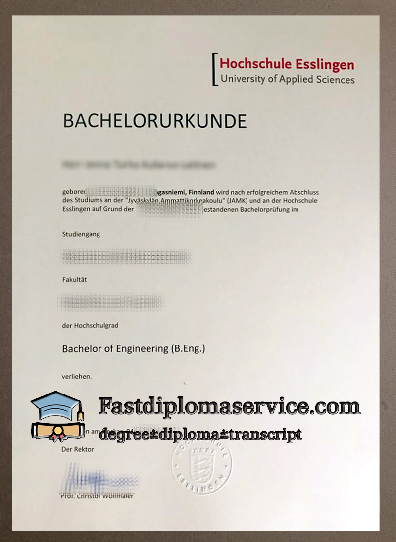 Order Hochschule Esslingen BachelorUrkunde
