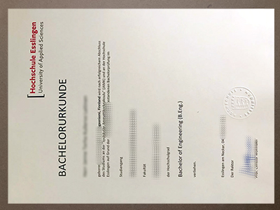 Order Hochschule Esslingen BachelorUrkunde