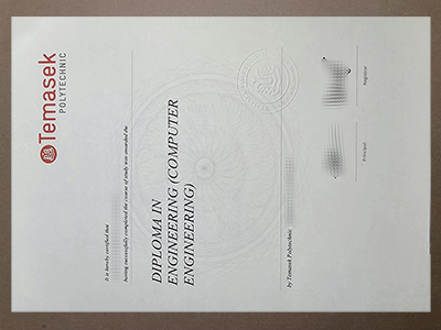 Buy Temasek Polytechnic Diploma