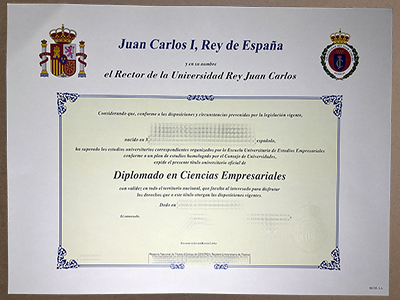 get Universidad Rey Juan Carlos diploma