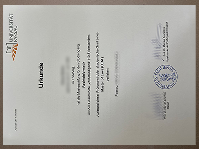 Make Universität Passau degree