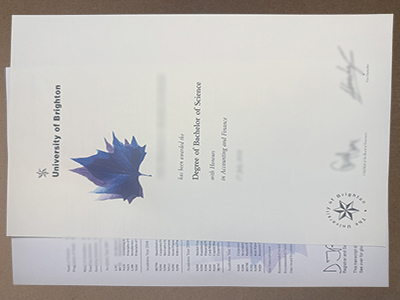 order University of Brighton degree