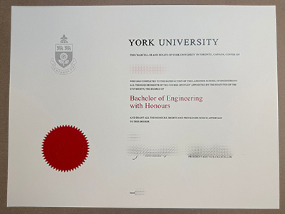 make York University degree