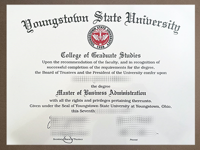 Make Youngstown State University degree