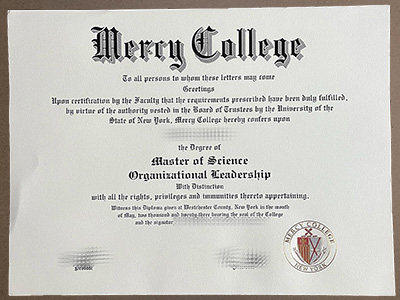 Order Mercy College diploma