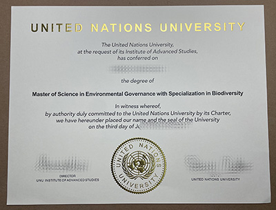 Order United Nations University certificate