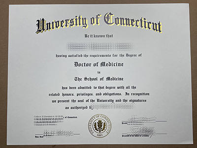 Order University of Connecticut diploma
