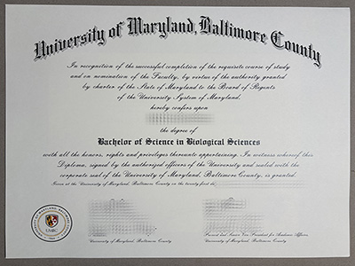 get University of Maryland Baltimore County diploma