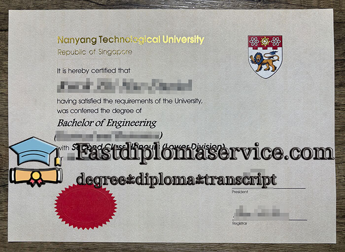 Nanyang Technological University diploma